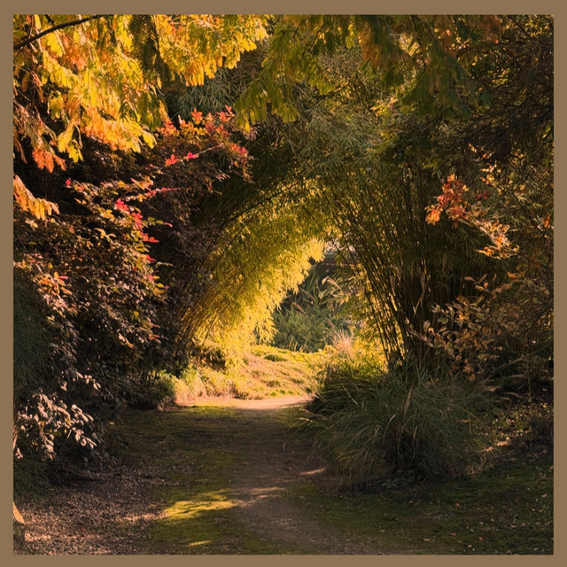 Specific Coast-Lonely