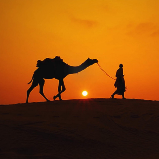 Jensen & Company-Kings of the&nbsp;Orient