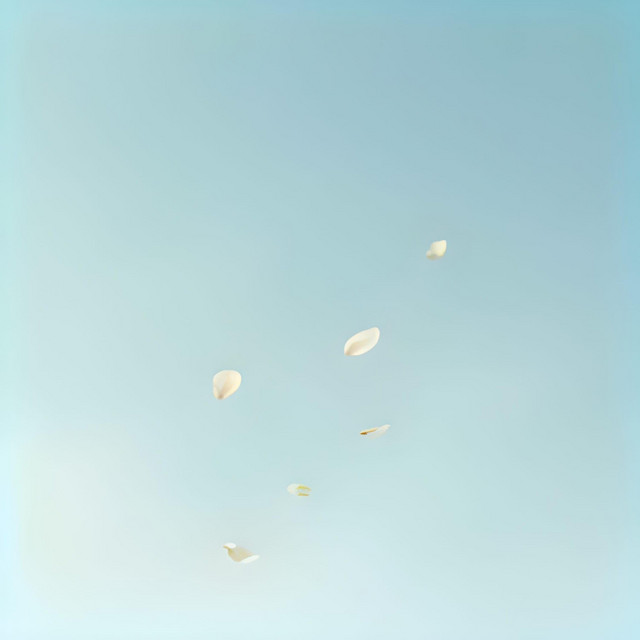 Luna Vale-June’s Way&nbsp;Home