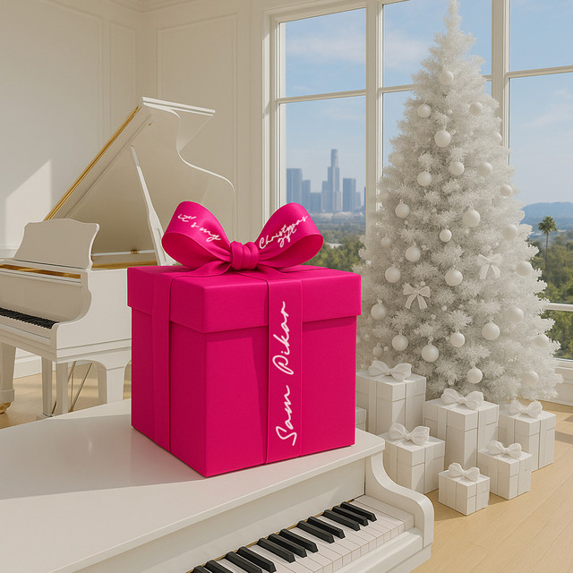 SAM PIKAR-My Christmas&nbsp;Gift