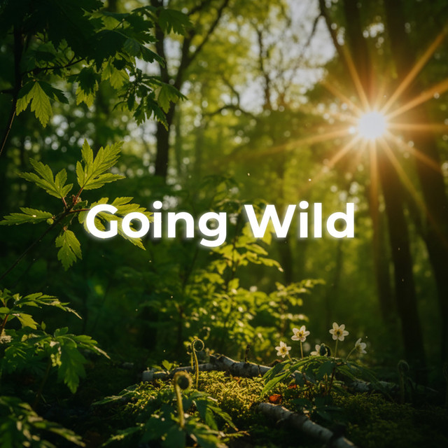 Sandro Ferro-Going Wild