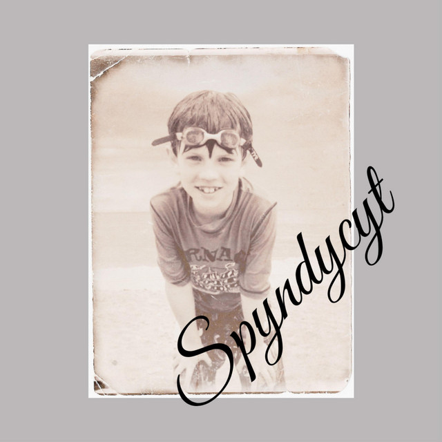 Spyndycyt-The Shadows Come Steal My&nbsp;Plans