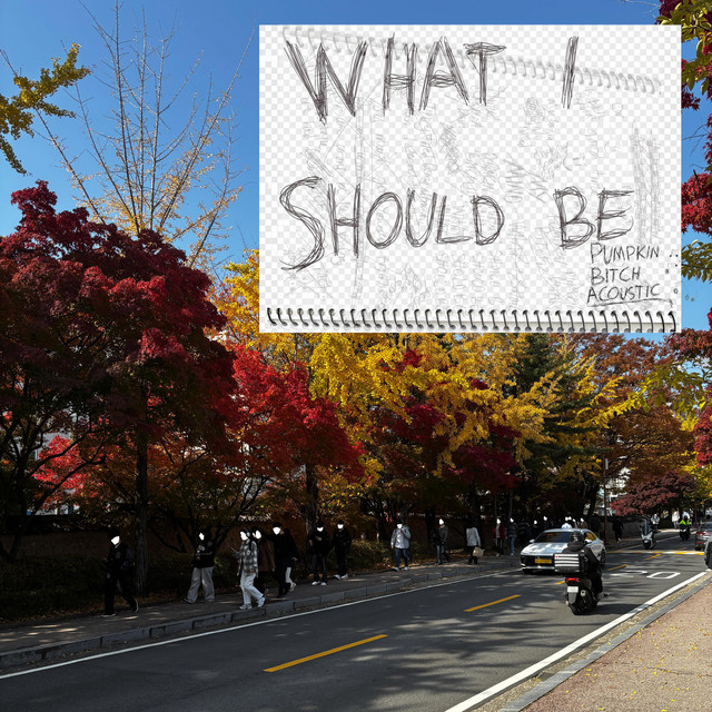 Tor like the god-What I Should Be (Pumpkin Bitch&nbsp;Acoustic)