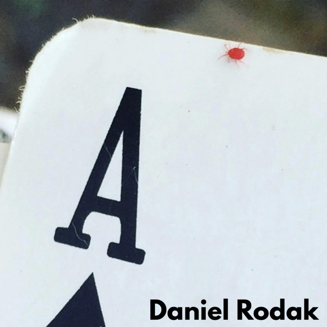 Daniel Rodak-The Dust Is Always Getting In My&nbsp;Eye