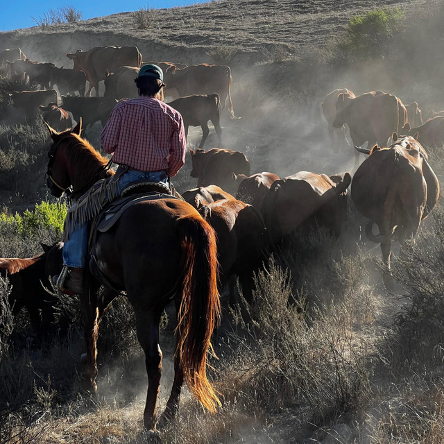 Stefan J. Selbert-You Live Where It’s&nbsp;Cold