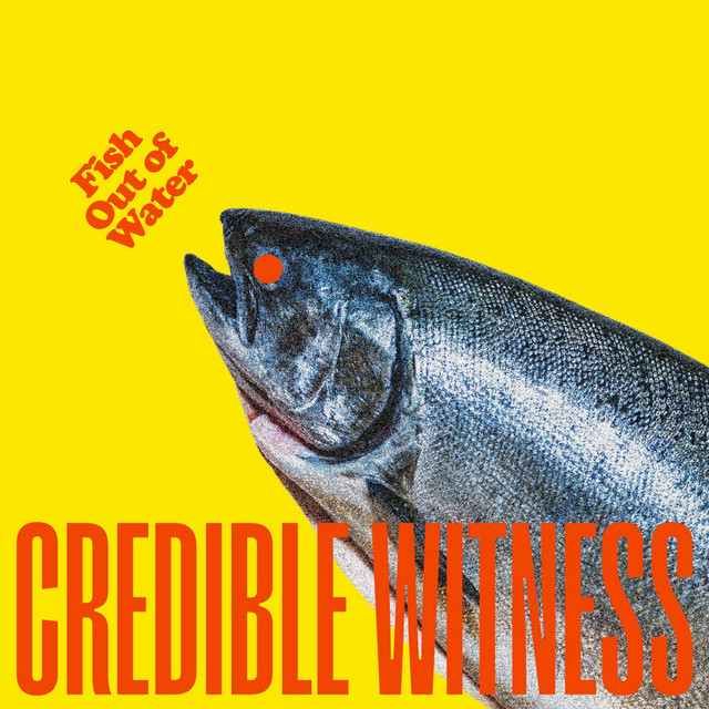 Credible Witness-Fish Out Of&nbsp;Water
