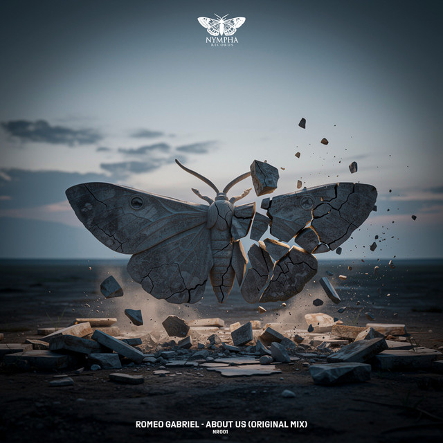 Romeo Gabriel-About Us