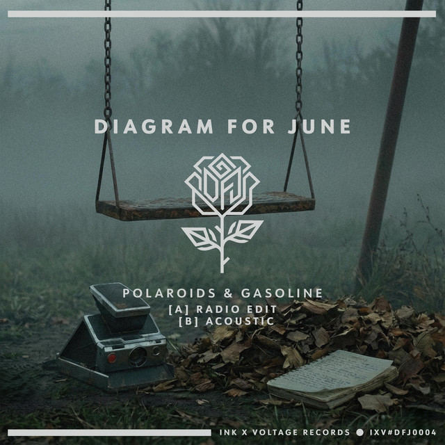 Diagram For June-Polaroids And Gasoline