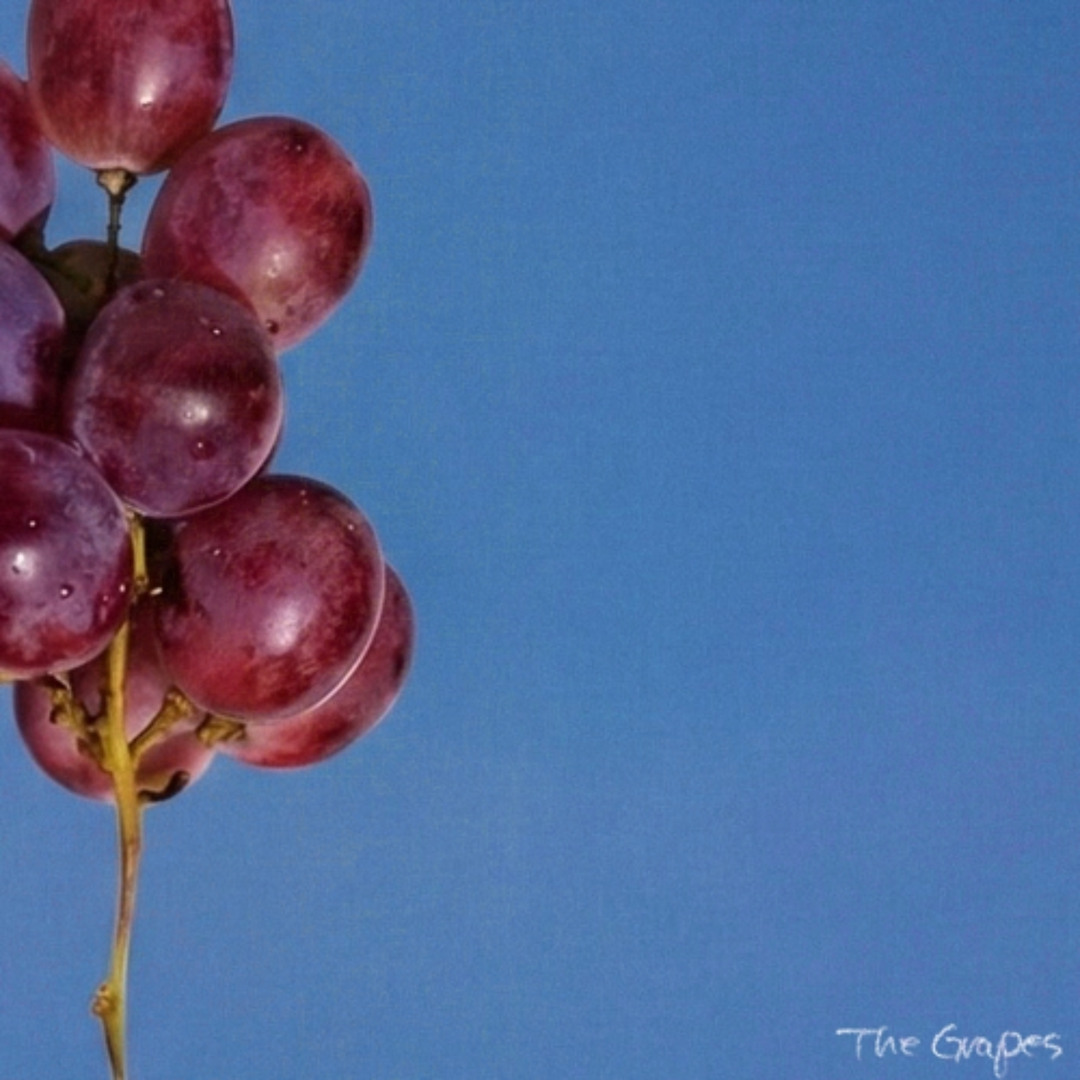 The Grapes-Summertime