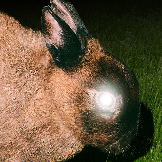 little image – THE&nbsp;REAPER