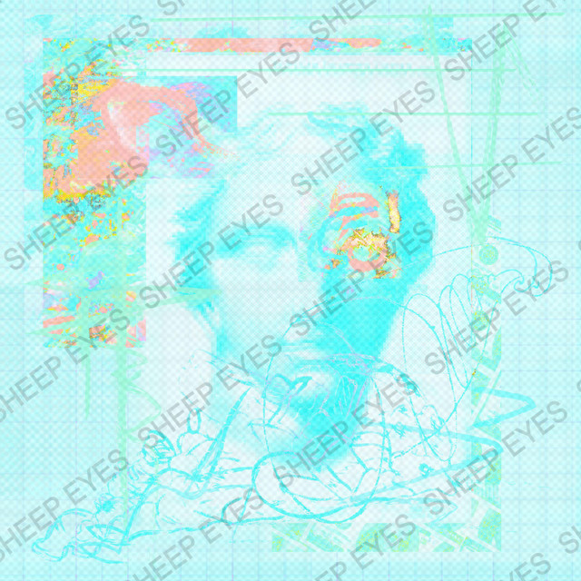 sheep eyes –&nbsp;Crusht