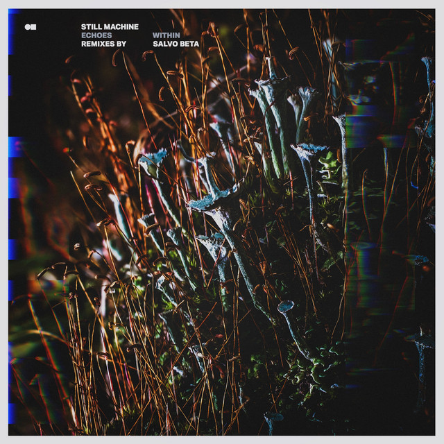 Still Machine – «Hegemonic Containment» (Remix by Salvo Beta )