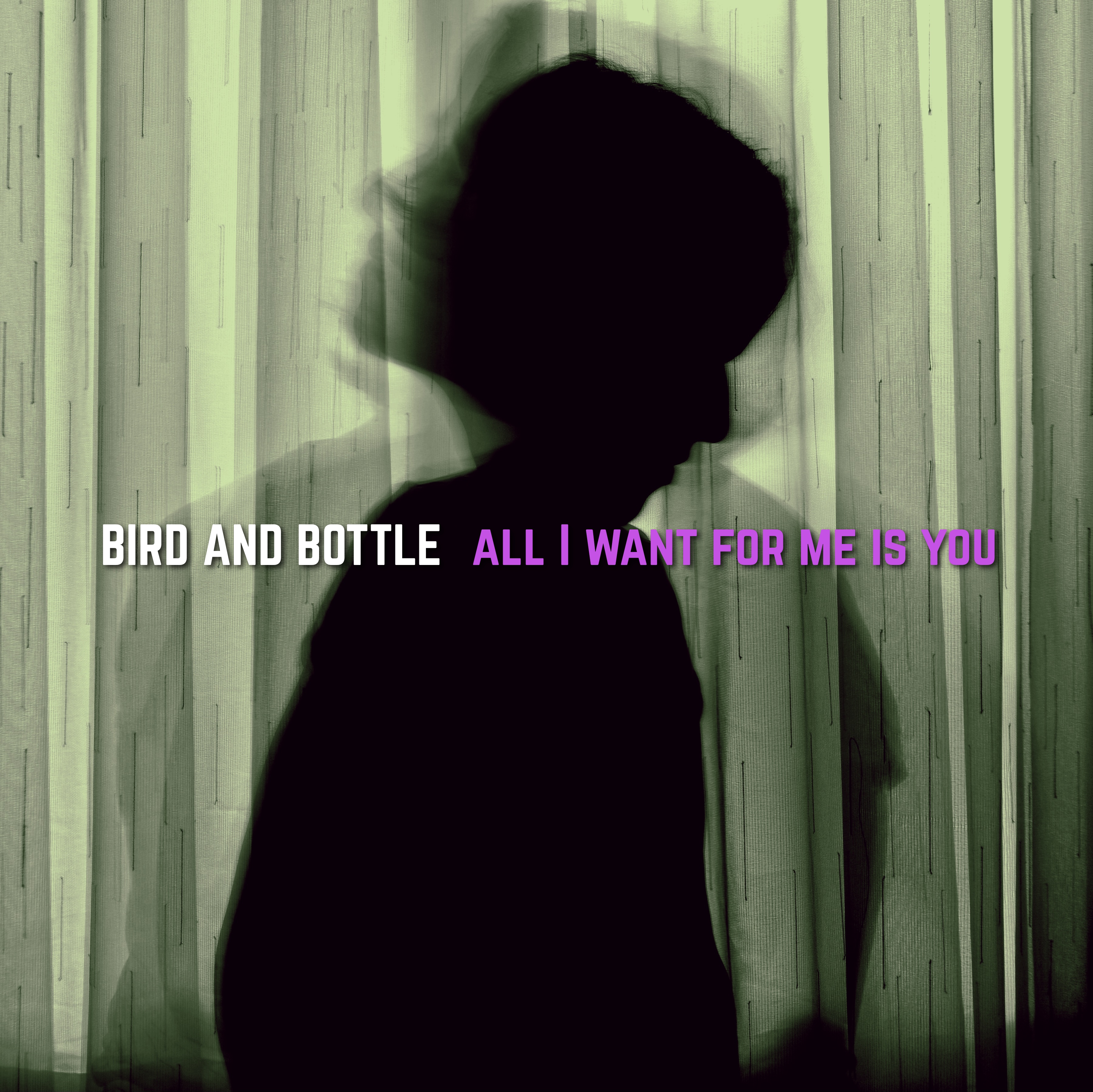 Bird and Bottle – All I want for me is You (Owl John  Cover)