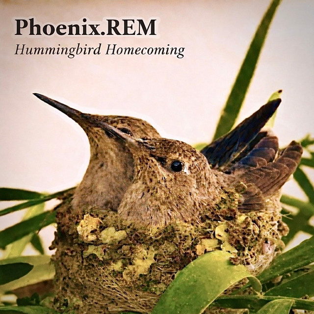 Phoenix.REM – Little Hummingbird