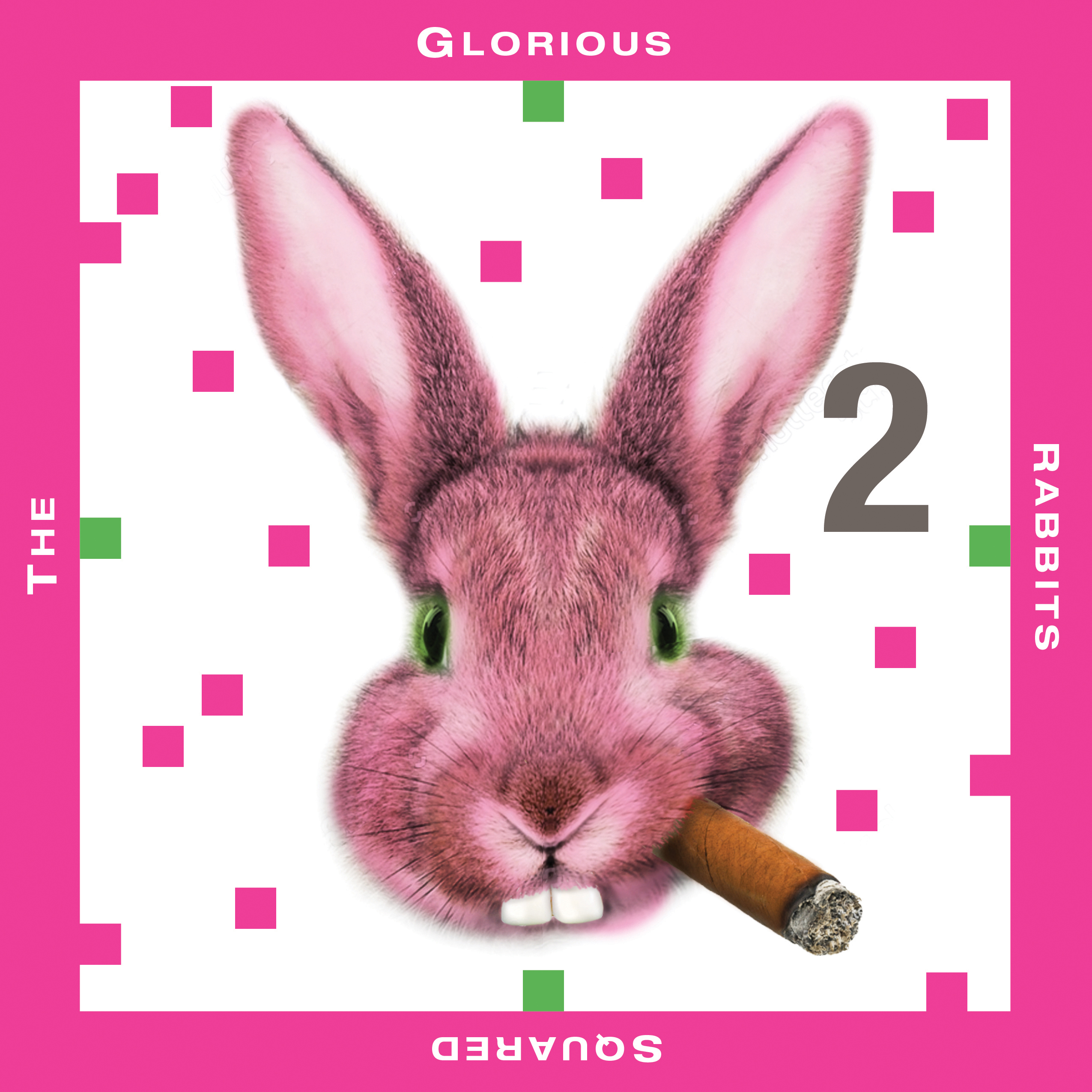 The Glorious Rabbits – Squared (Live)